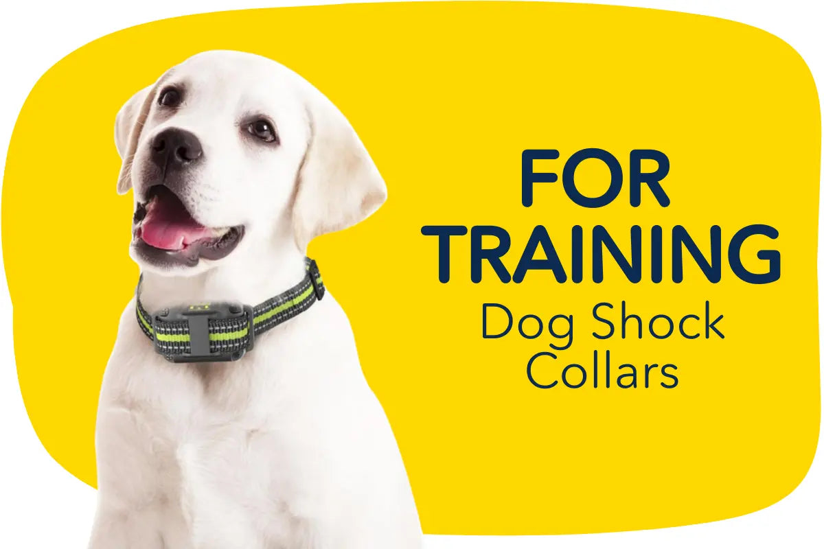 Dog Shock Collars