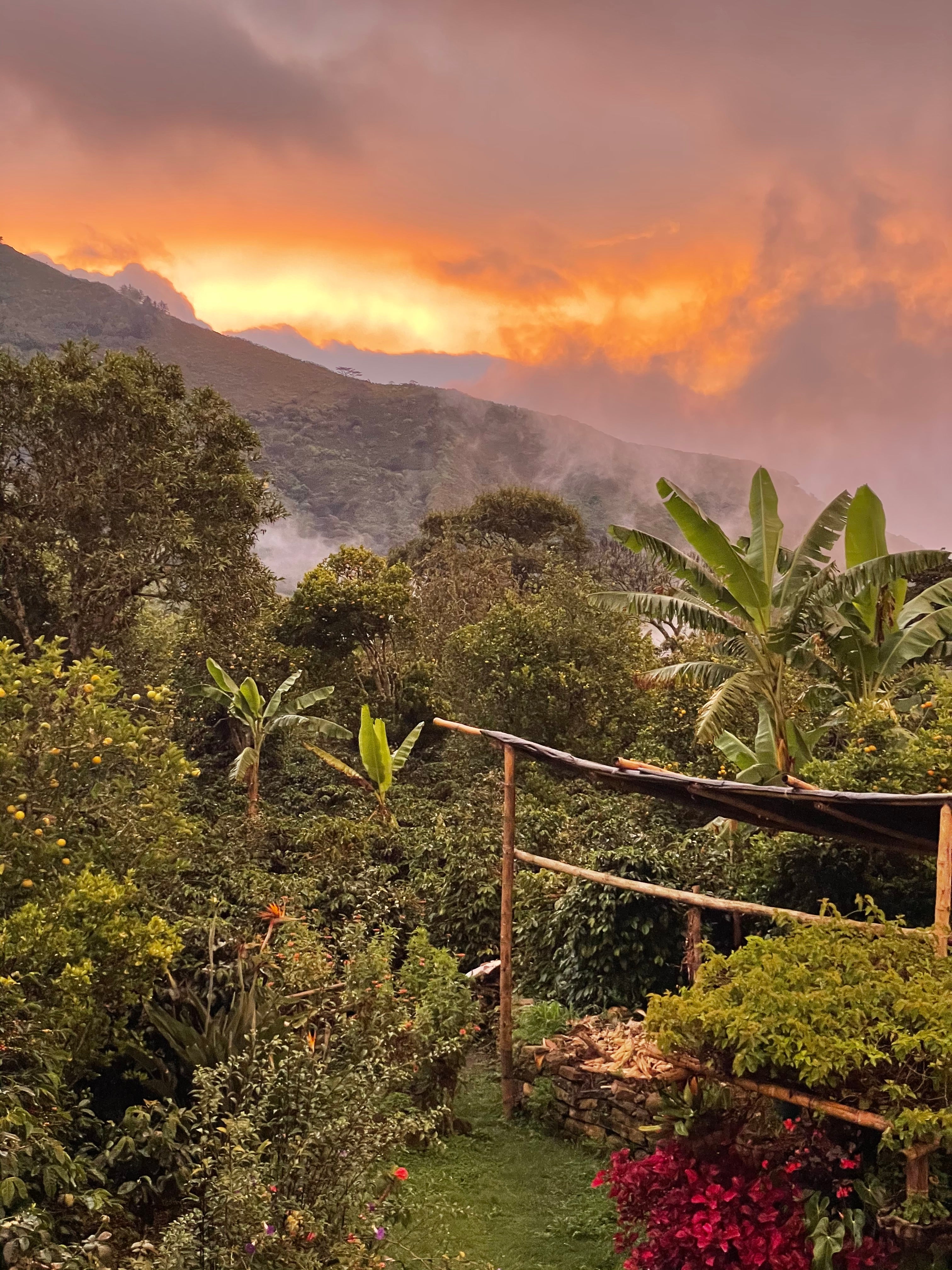 Rewarding view after a long day at the coffee farm. Argote Specialty Coffee - Génova, Nariño, Colombia.