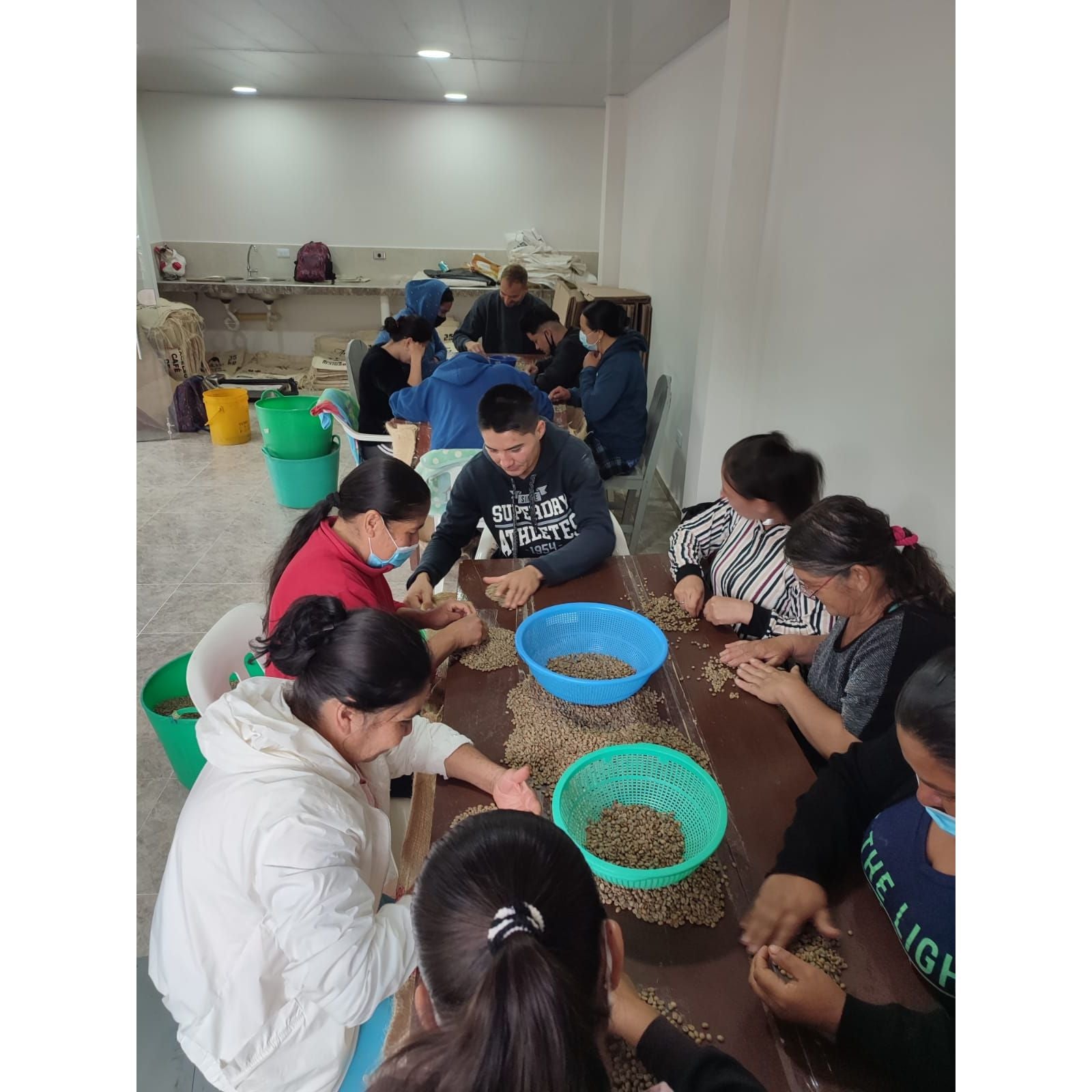 Sorting tables at Juan Pablo´s coffee farm.