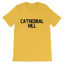 Load image into Gallery viewer, Cathedral Hill Premium Kids T-Shirt
