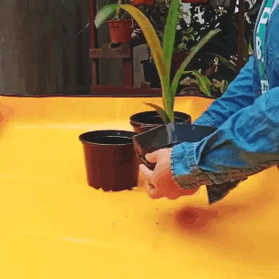 Planting surface protector