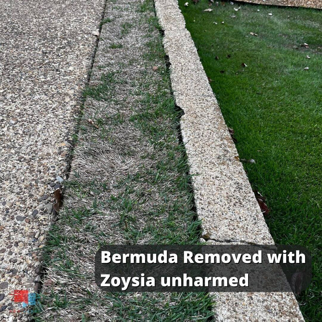 bermuda removed with zoysia unharmed