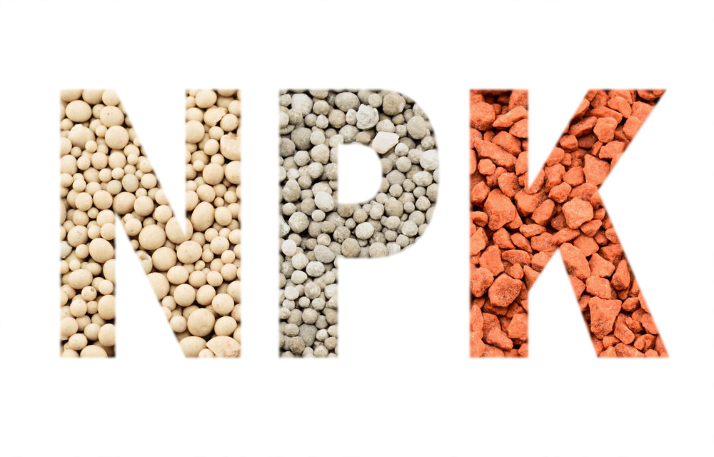 NPK letters made of mineral fertilizers background. N - nitrogen, P - phosphorus, K - potassium (kalium)