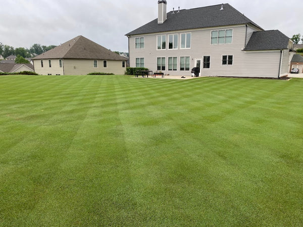 golf course lawn