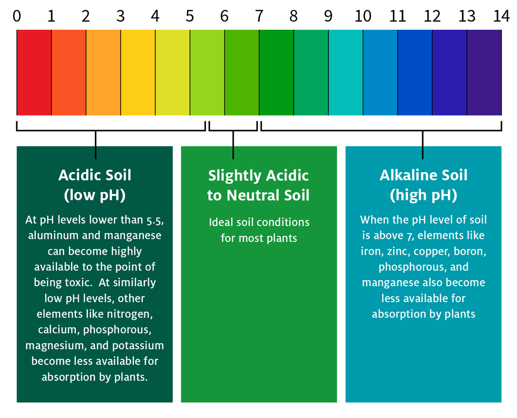 Soil pH chart