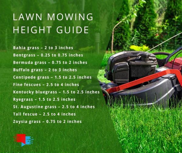 lawn mowing height guide