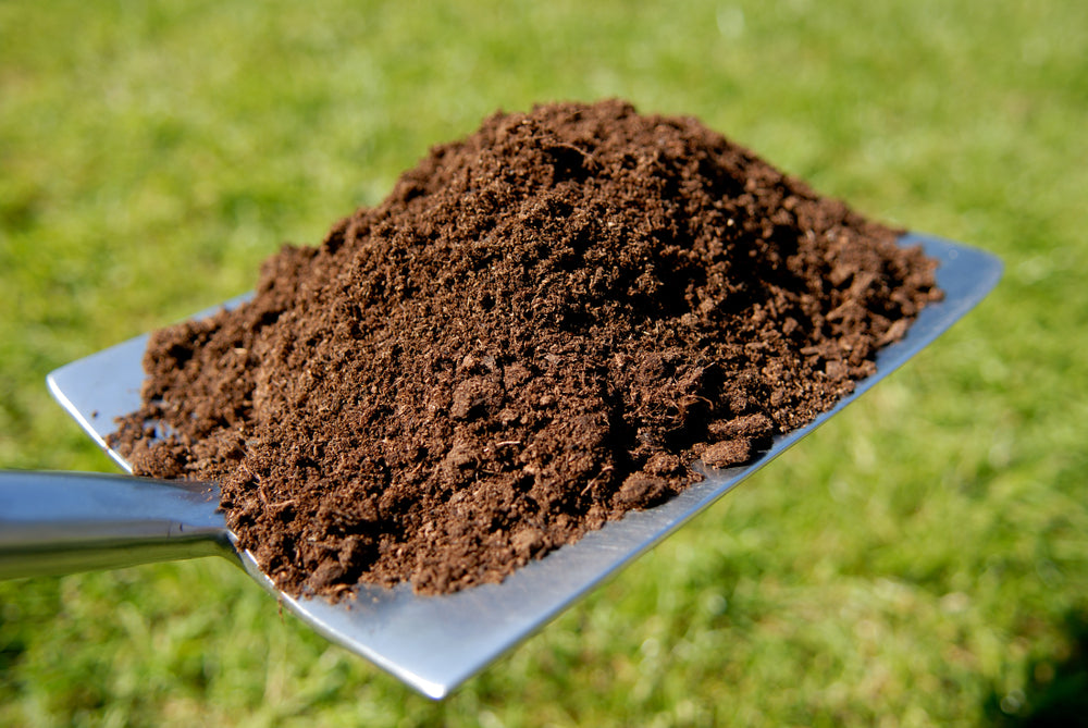 Choosing the Right Compost
