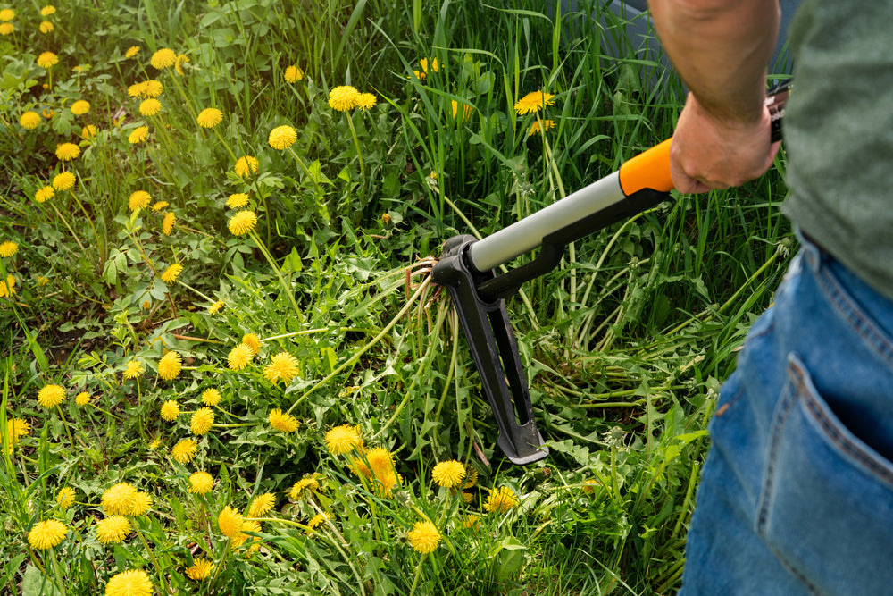 Regular Lawn Care Schedule