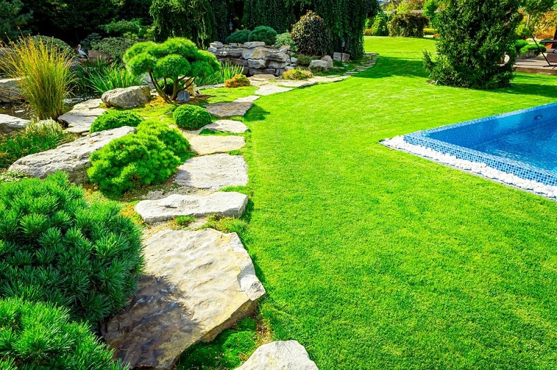 Landscaping and Design Considerations