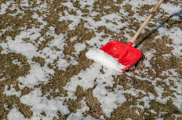 Winter Lawn Care Tips