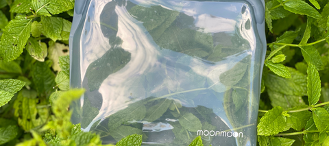 reusable food bag for fresh mint, herb garden, eco friendly food storage moonmoon