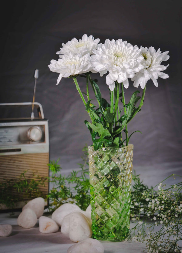 Gypsophila-Baby's breath (Fillers) – Amodhini Flowers