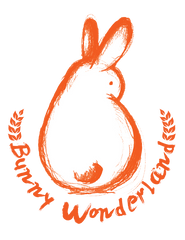Bunny Wonderland Transparent Logo
