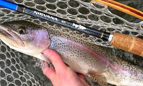 large rainbow trout on the NIRVANA 400 tenkara rod - Big fish tenkara