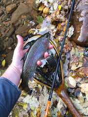 tight overgrown creek fishing with the Mizuchi tenkara rod