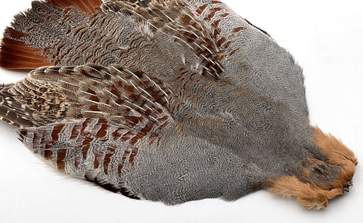 Perdix Premium California Valley Quail Skin