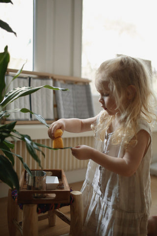 Soin des plantes - Montessori