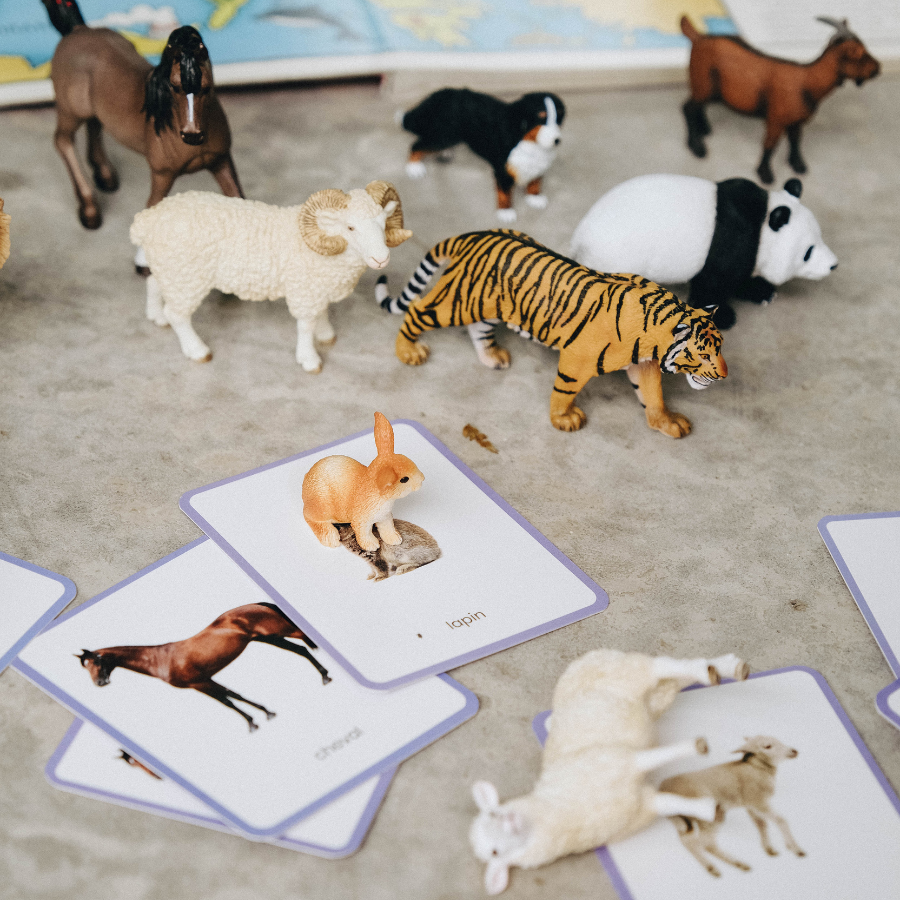 Cartes d'apprentissage en bois allemand Jouets Montessori Développement du  langage pour les enfants Cartes d'animaux Jouets Waldorf -  France