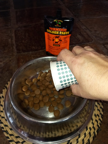 Kibble added to bowl ready for Turmeric Golden Paste