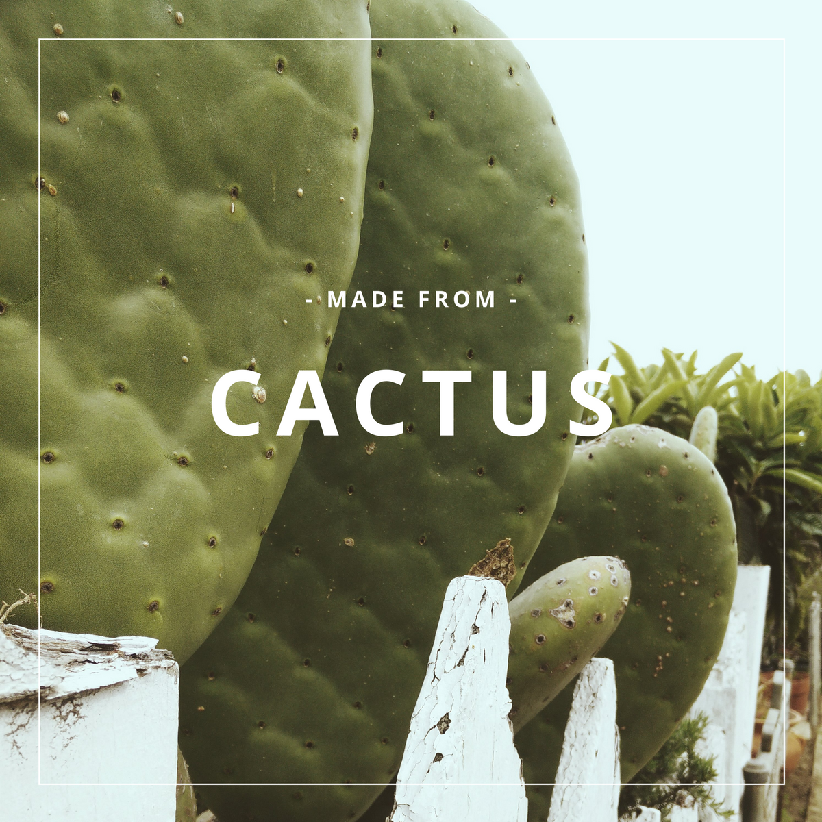 Base - Classic - Cactus Gray Pampas