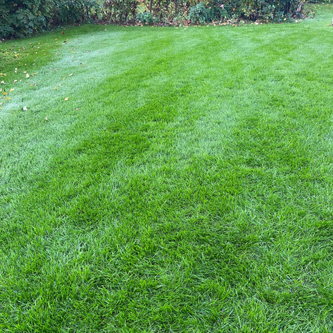 Stripes-Rasenmähen-Streifen-Lawn