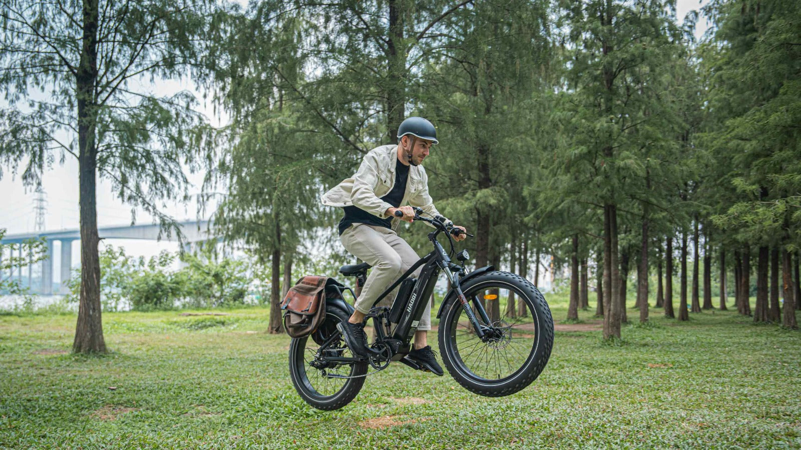 HAOQI Eagle Long Range Electric Bicycle