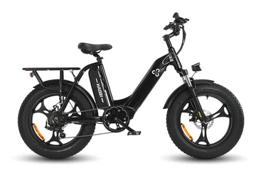 HAOQI Antelope 500W Cargo Electric Bike (UL Certified)