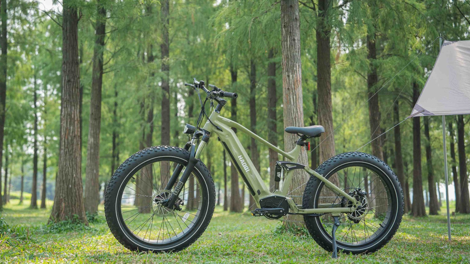 HAOQI soft tail electric bike