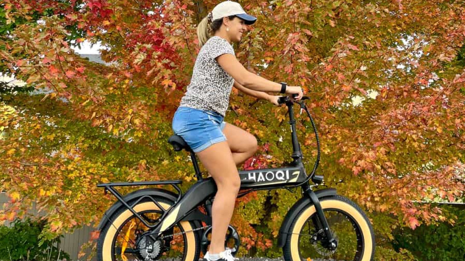 haoqi squirrel folding electric bike