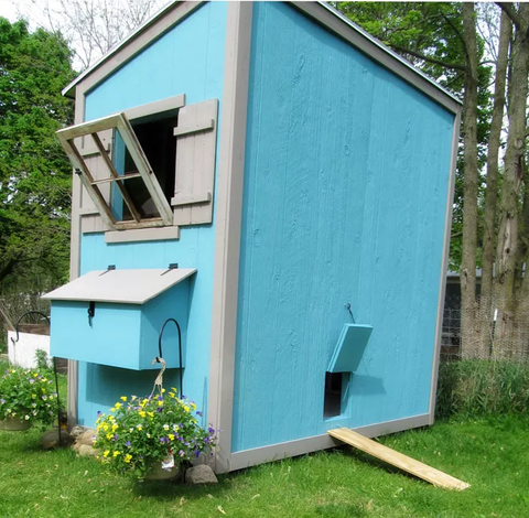 Shed Chicken Coop