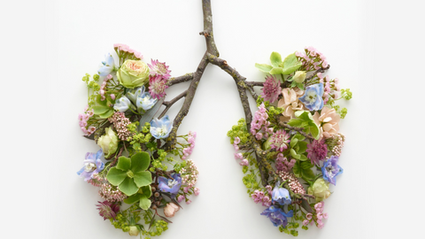 image of lungs made out of flowers and plants