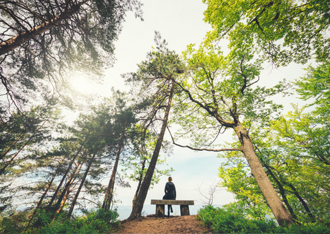woman sitting on a bench surrounded by towering trees