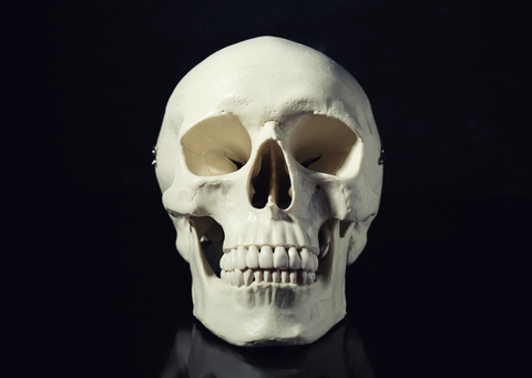 Skull with teeth in front of black background