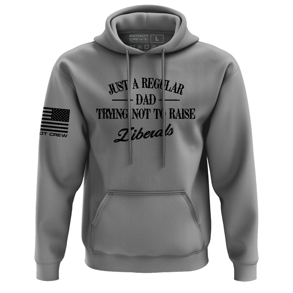 just-a-regular-dad-trying-not-to-raise-liberals-hoodie