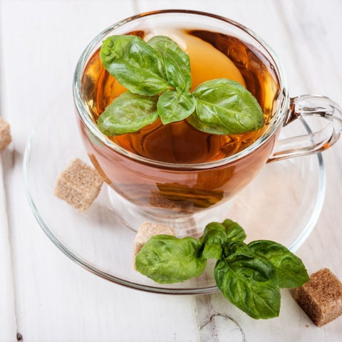 basil tea