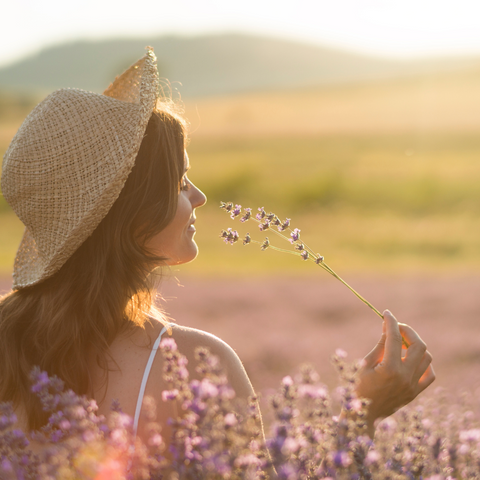 Lavender Cashmere - Perfume Oil