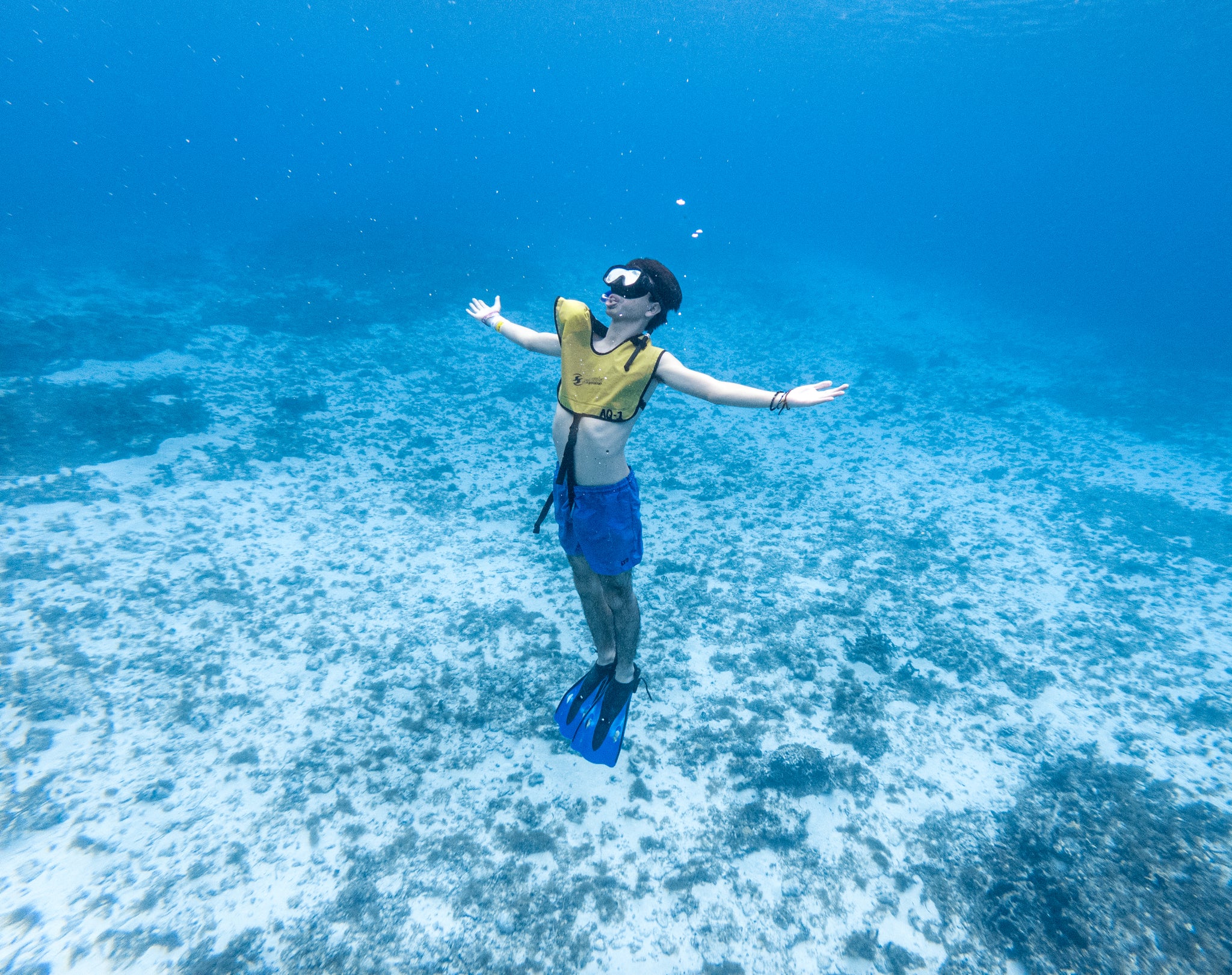 Cozumel Snorkel Tour Coral Reefs el Cielo & Beach Break – Visit Cozumel