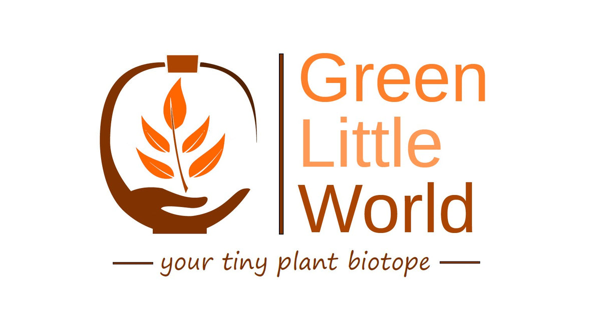 Green Little World GbR