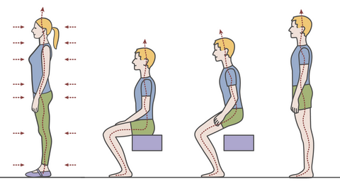 A sketch of a healthy, centered standing position and the correct way to rise from a seated position.