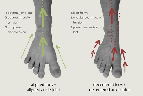 comparison of two feet with marked axes, the first with toes spread and centered joints, the second constricted in a classic shoe. 