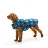 Blue Snuggly Plaid Dog Jacket on dog