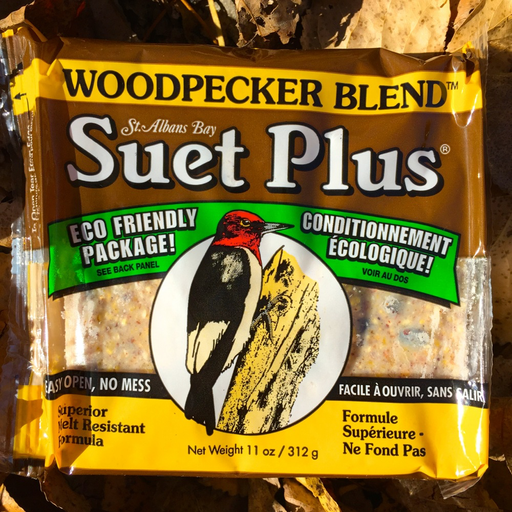 suet plus woodpecker blend