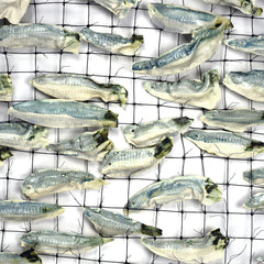 Shoal porcelain fish adn wire net at Bedruthan hotel .Alison Shelton BRown