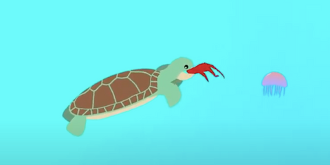A cartoon of a turtle eating a popped red balloon. A pink jellyfish floats nearby