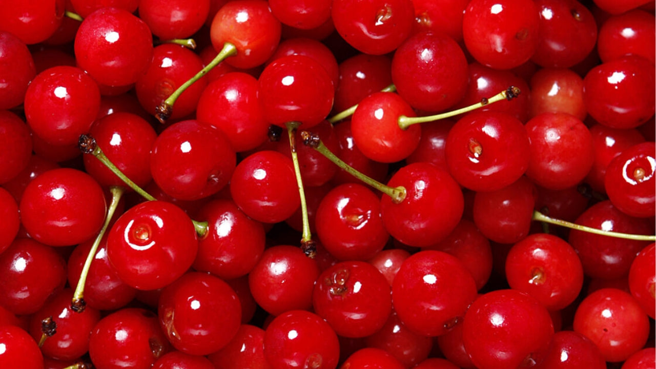 BERRY TART CHERRY POWDER