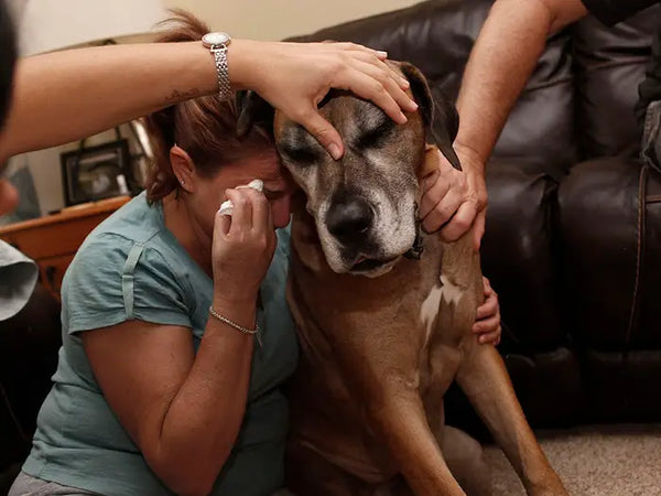 woman crying with pet dog saying last goodbye