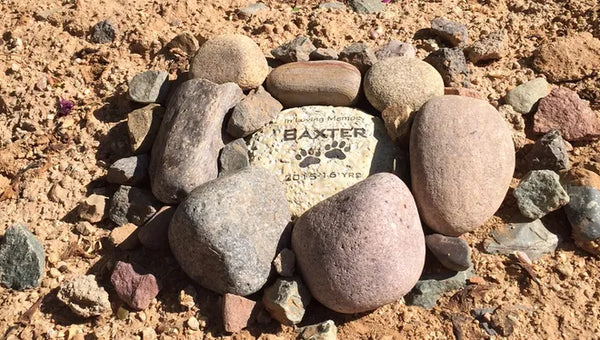 In memory of Farmer Pete's dog Baxter who passed away