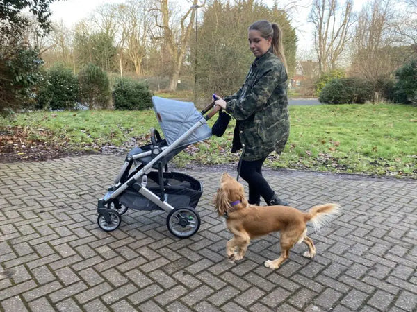 Woman walking in the park with her newborn baby and dog