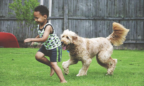 Kids running with their dog