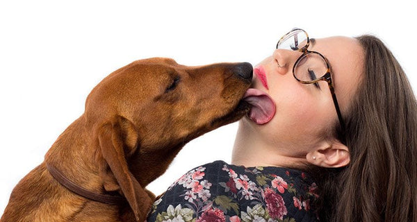 Dog liking it's owners lips